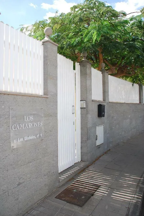 Apartment Deluxe Apartment. 50 Meters Beach San Agustin  Spain